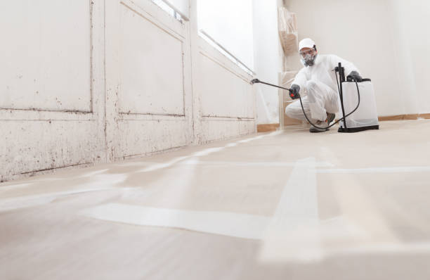 24/7 Emergency Crawl Space Mold Remediation experts in Mill Hall, PA